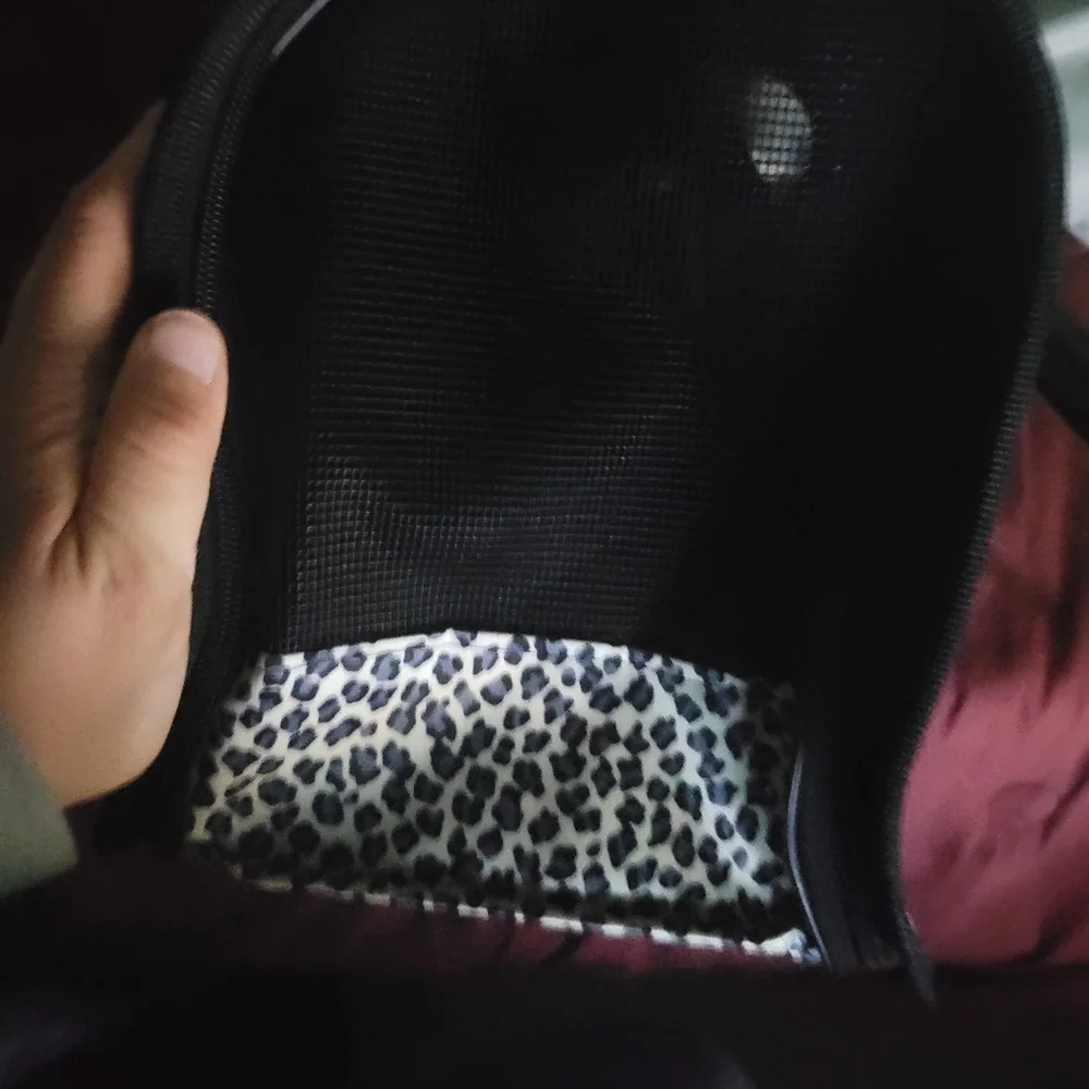 Soft pet carrier